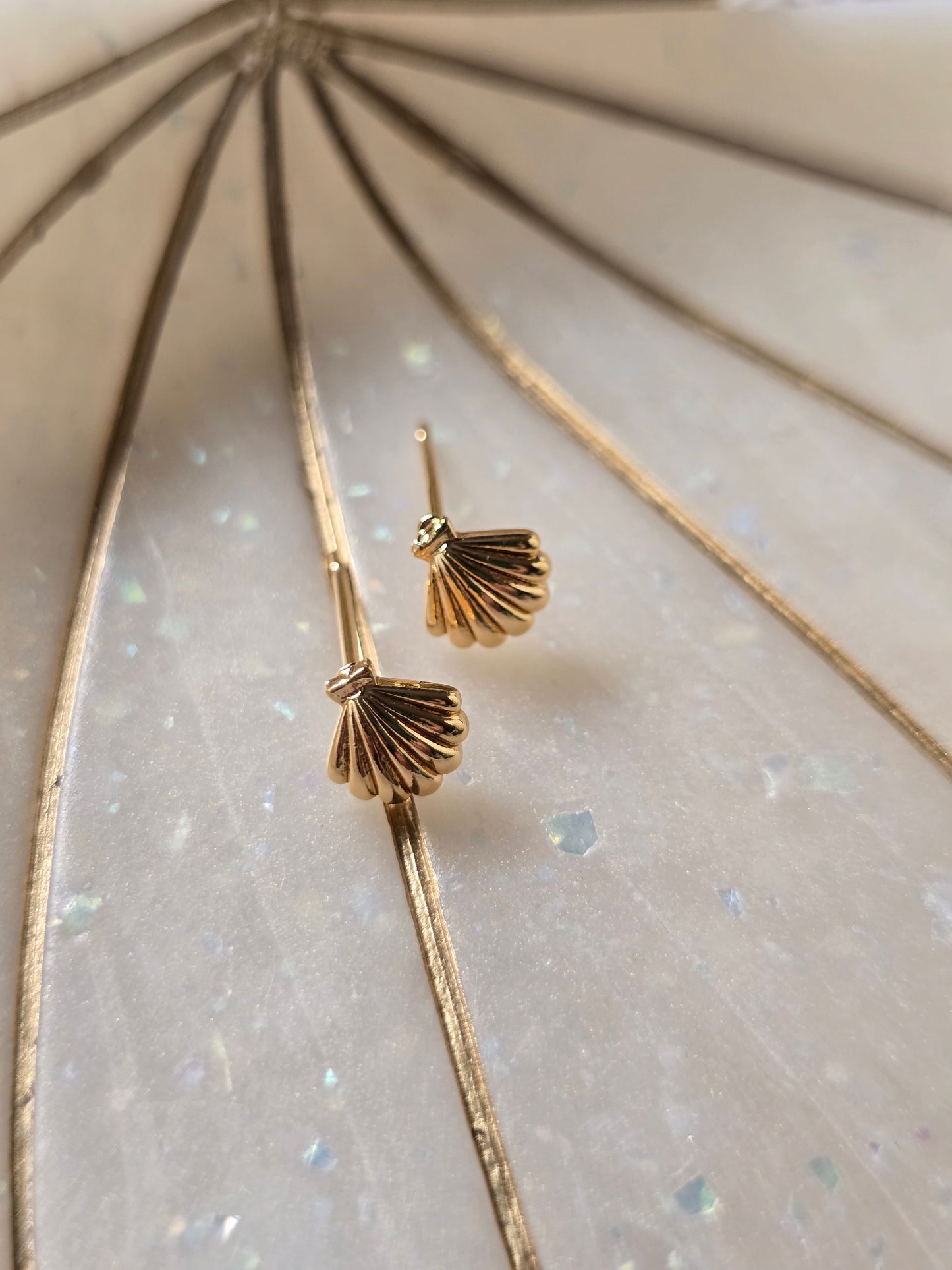 Shell studs