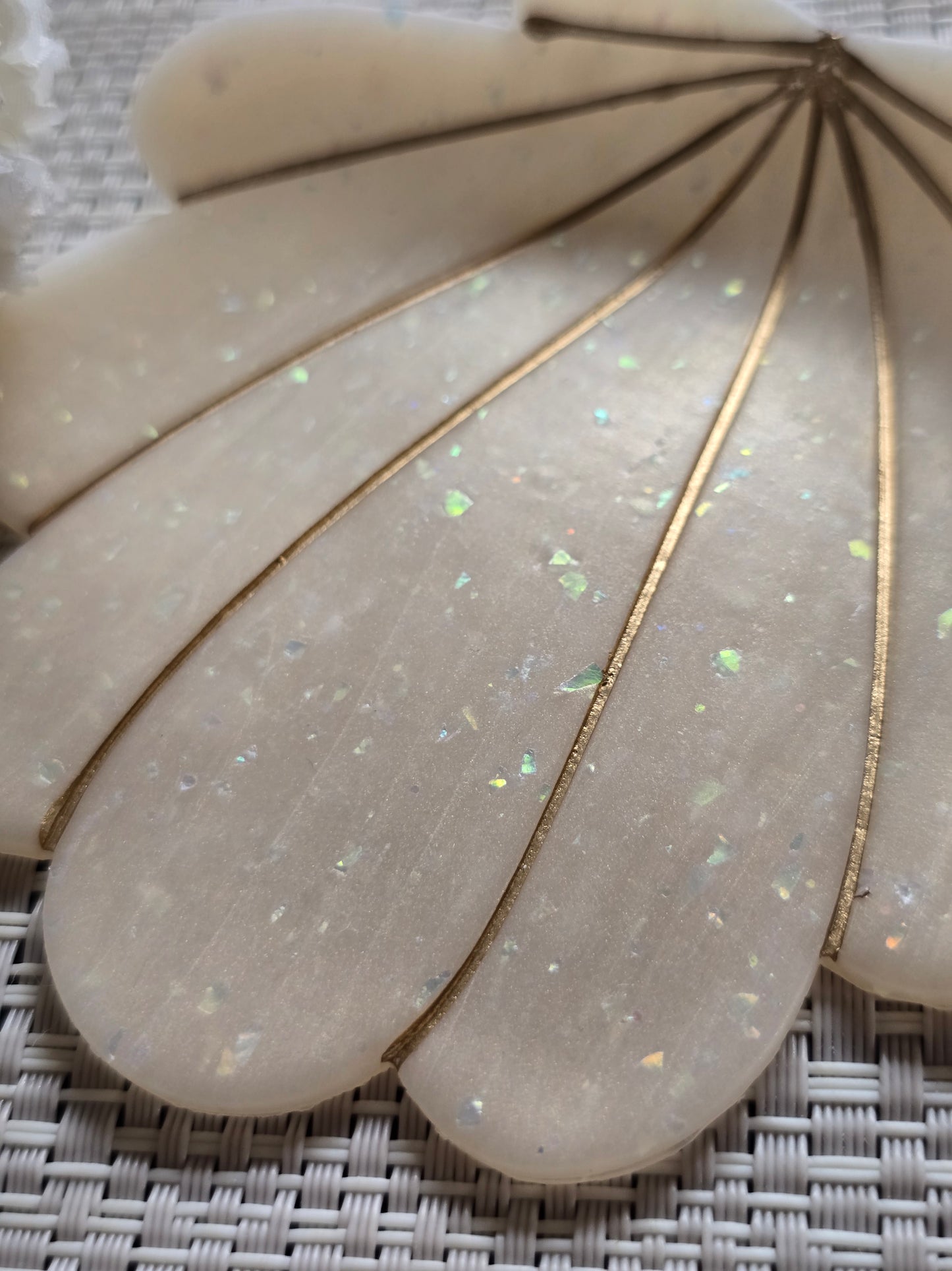 Shell trinket dish