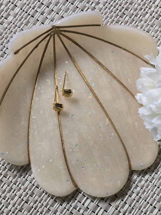 Shell studs
