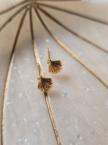 Shell studs